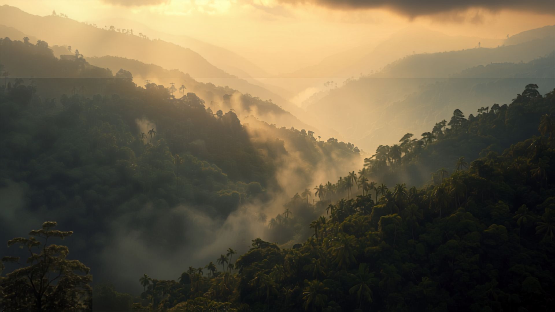 Niebla cubriendo el bosque de Oxapampa al amanecer